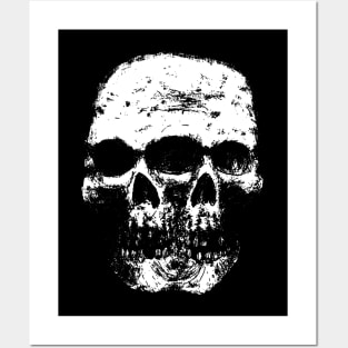 Double Skull Posters and Art